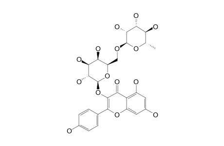 KAEMPFEROL-3-O-ROBINOBIOSIDE