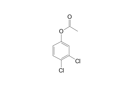 Phenol, 3,4-dichloro-, acetate