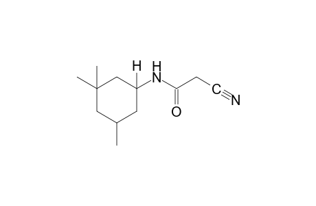 2-cyano-N-(3,3,5-trimethylcyclohexyl)acetamide