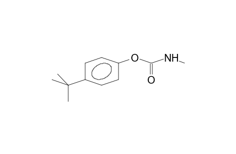 methylcarbamic acid, p-tert-butylphenyl ester