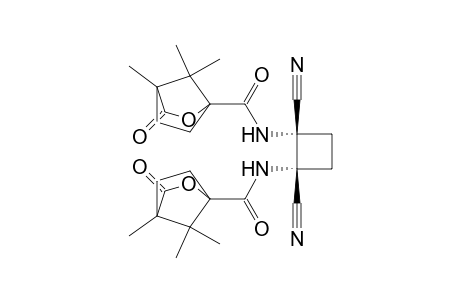 N,N'-(cis-1,2-Dicyancyclobutane-1,2-diyl)bis(camphanamide)