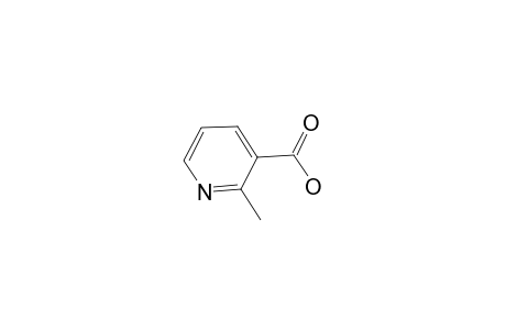 2-Methylnicotinic acid