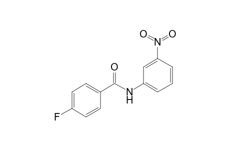 4-fluoro-N-(3-nitrophenyl)benzamide
