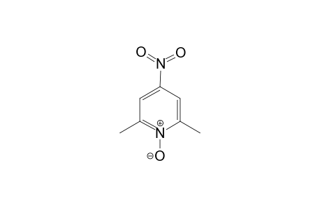 4-nitro-2,6-lutidine, 1-oxide