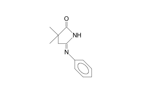 anti-N-Phenyl-2,2-dimethyl-succinisoimide