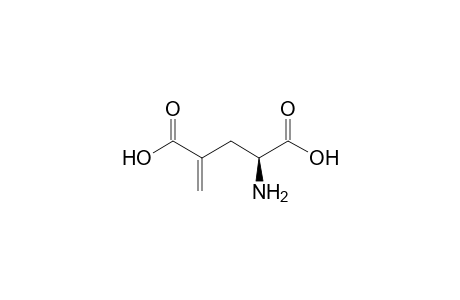 (2S)-2-amino-4-methylene-glutaric acid