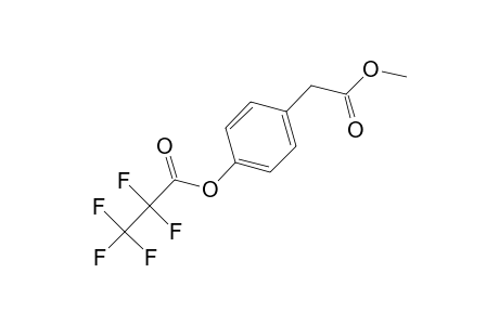 Benzeneacetic acid, 4-(2,2,3,3,3-pentafluoro-1-oxopropoxy)-, methyl ester