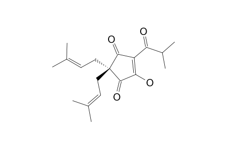 Cohulupone