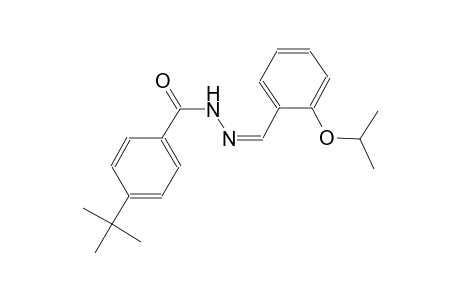 4-tert-butyl-N'-[(Z)-(2-isopropoxyphenyl)methylidene]benzohydrazide