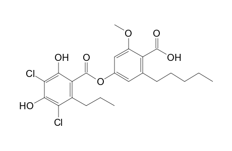 3,5-Dichloro-2'-O-methylnorstenosporic acid