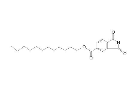 1H-Isoindole-5-carboxylic acid, 2,3-dihydro-1,3-dioxo-, dodecyl ester