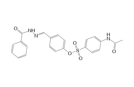 4-[(E)-(2-benzoylhydrazono)methyl]phenyl 4-(acetylamino)benzenesulfonate