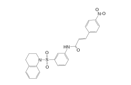 (E)-N-[3-(3,4-dihydro-2H-quinolin-1-ylsulfonyl)phenyl]-3-(4-nitrophenyl)-2-propenamide