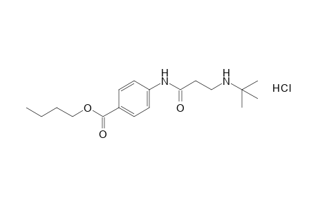 p-[(3-tert-butylamino)propionamido]benzoic acid, butyl ester, hydrochloride