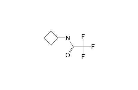 Cyclobutylamine, N-trifluoroacetyl-