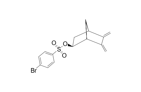 5-EXO-(PARA-BROMBENZOLSULPHOXY)-2,3-DIMETHYLENNORBORNAN