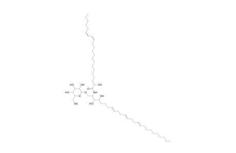 HexCer 26:3;3O/22:2;(2OH)