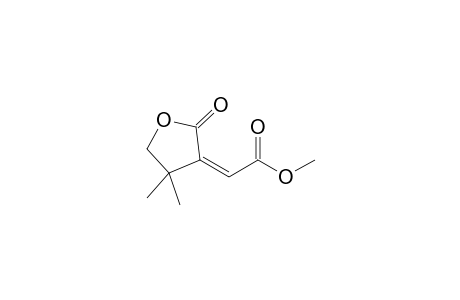 Z-METHYL-4,4-DIMETHYL-2-OXOTETRAHYDROFURAN-3-YLIDENEACETATE