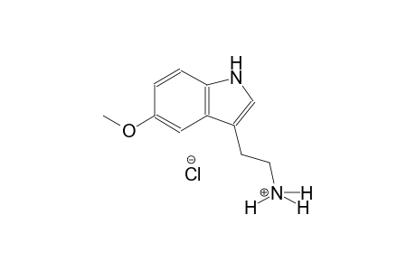 3-(2-AMINOETHYL)-5-METHOXYINDOLE, MONOHYDROCHLORIDE