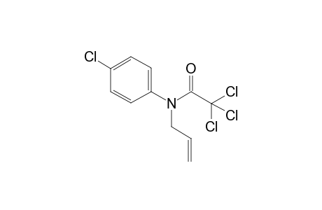 N-Allyl-2,2,2-trichloro-N-(4-chlorophenyl)acetamide