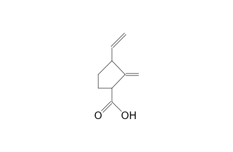 Cyclopentanecarboxylic acid, 3-ethenyl-2-methylene-