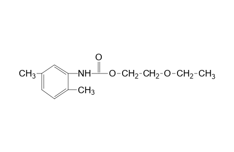 2,5-dimethylcarbanilic acid, 2-ethoxyethyl ester