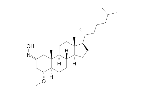 (4R,5R,8S,9S,10R,13R,14S,17R)-17-[(1R)-1,5-dimethylhexyl]-4-methoxy-10,13-dimethyl-1,3,4,5,6,7,8,9,11,12,14,15,16,17-tetradecahydrocyclopenta[a]phenanthren-2-one oxime