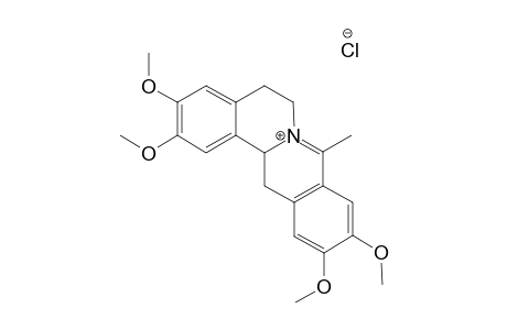 2,3,10,11-Tetramethoxy-8-methyl-13,14-dihydroprotoberberinium Chloride