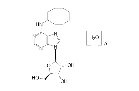 N-cycloctyladenosine, hemihydrate