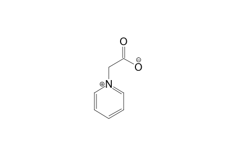 C5H5N(CH2)COO;1-(OMEGA-CARBOXYMETHYL)-PYRIDINIUM