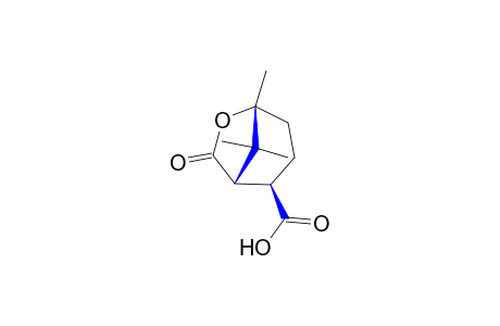 exo-7-oxo-5,8,8-Trimethyl-6-oxabicyclo[3.2.1]octane-2-carboxylic acid