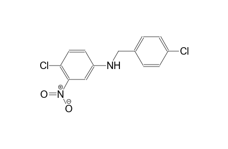 p-chloro-N-(4-chloro-3-nitrophenyl)benzylamine