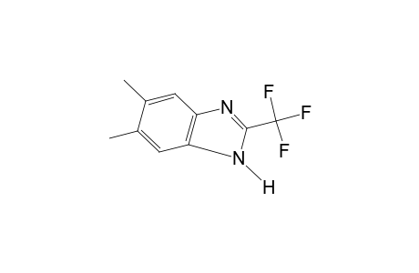 5,6-dimethyl-2-(trifluoromethyl)benzimidazole
