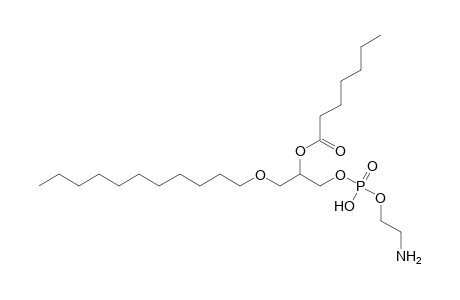 PE O-11:0_7:0