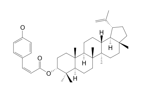 3-ALPHA-Z-COUMAROYLLUPEOL