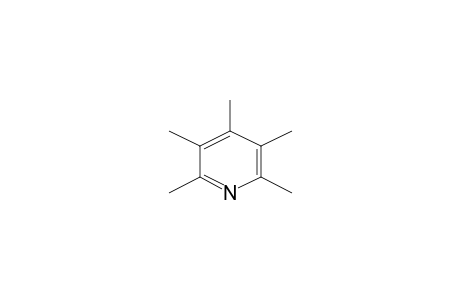 Pyridine, pentamethyl-