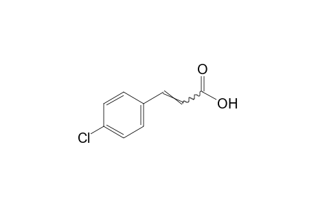 p-chlorocinnamic acid