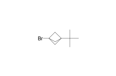 3-Bromanyl-1-tert-butyl-bicyclo[1.1.1]pentane