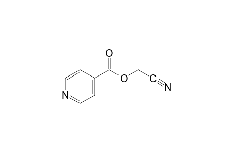 isonicotinic acid, cyanomethyl ester