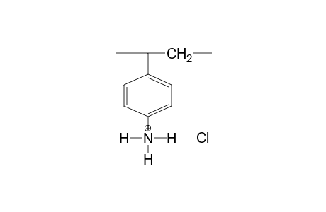 Poly(p-styreneammonium chloride)