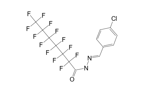 2,2,3,3,4,4,5,5,6,6,7,7,7-Tridecafluoro-heptanoic acid (4-chloro-benzylidene)-hydrazide