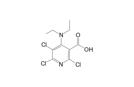 3-pyridinecarboxylic acid, 2,5,6-trichloro-4-(diethylamino)-