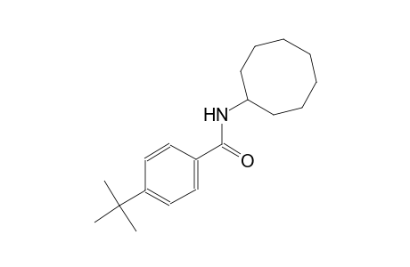 4-tert-Butyl-n-octylbenzamide