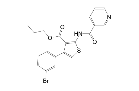 propyl 4-(3-bromophenyl)-2-[(3-pyridinylcarbonyl)amino]-3-thiophenecarboxylate