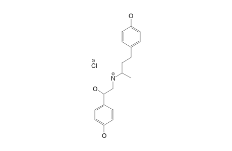 Ractopamine HCl