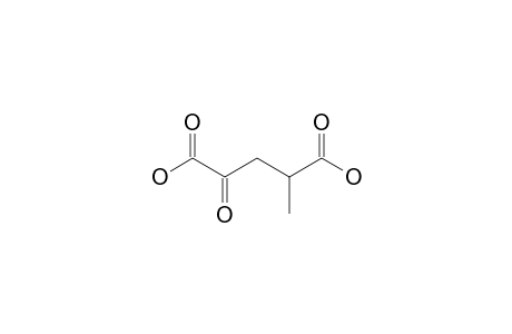 4-METHYL-2-KETO-GLUTARIC-ACID;MEKG