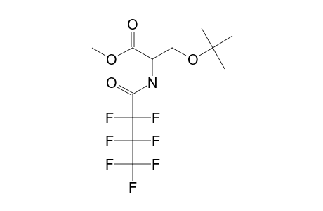 o-Tert.-butyl-L-serine, N-heptafluorobutyryl-, methyl ester