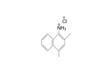 1-Naphthalenamine, 2,4-dimethyl-, hydrochloride, salt