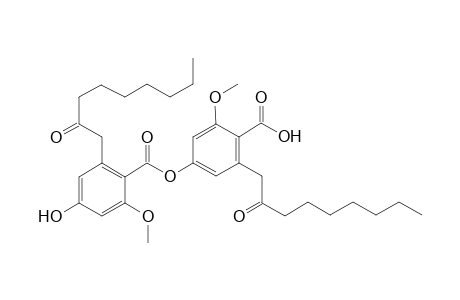 2'-O-methylsuperphyllinic acid