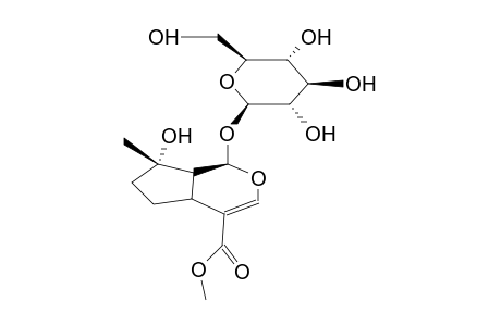 8-EPI MUSSAENOSIDE